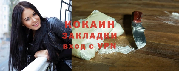 спиды Болотное