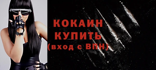 спиды Болотное