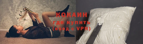 шишки Нея