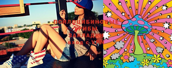 спиды Болотное