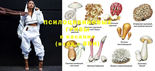 2c-b Инсар