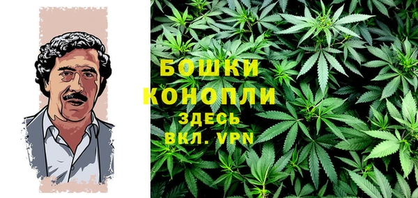 шишки Нея