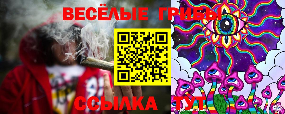 где купить наркотик  Галлюциногенные грибы Cubensis  Вход с VPN  Отрадное 