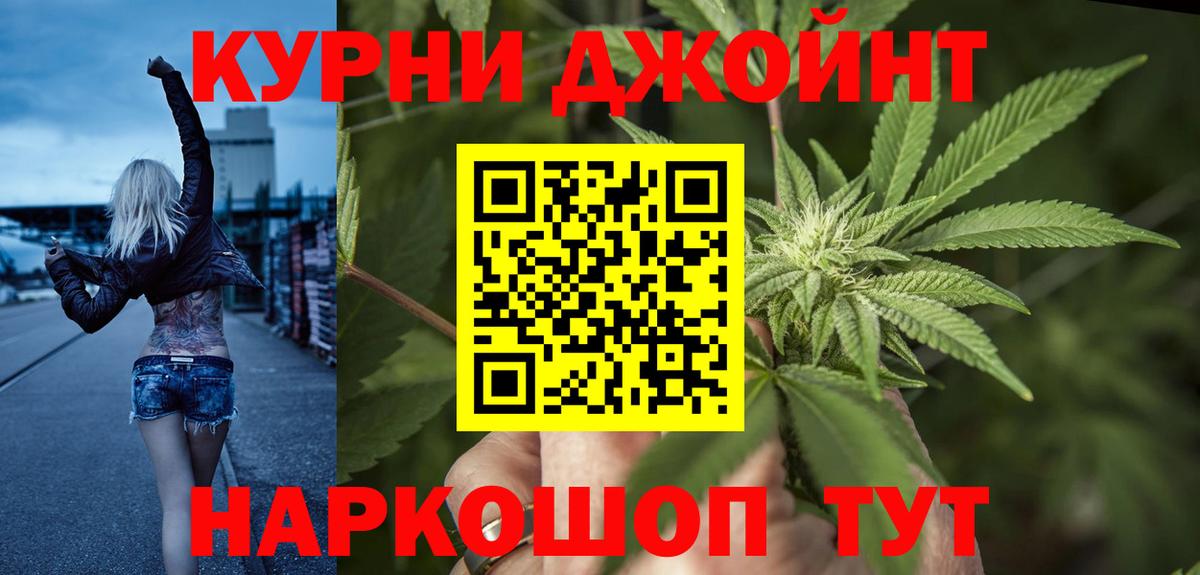 Конопля сатива Отрадное